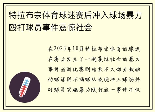 特拉布宗体育球迷赛后冲入球场暴力殴打球员事件震惊社会